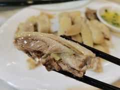 -清新鸡沙田乳鸽店(金融店)