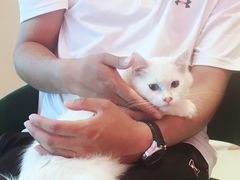 -藏猫猫咖啡主题馆(中央大道店)