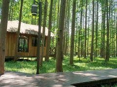 -黄海国家森林公园