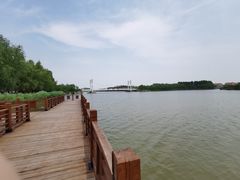 -塘沽森林公园