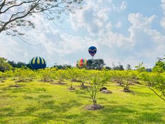 -中国科学院西双版纳热带植物园