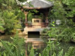 -成都杜甫草堂博物馆