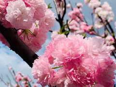 -观澜湖生态运动公社