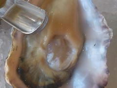 -Oyster Talks 四度蚝法餐厅