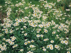 -洋湖国家湿地公园