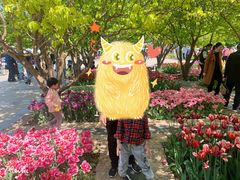-石家庄市植物园