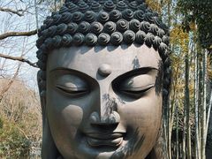 -杭州植物园