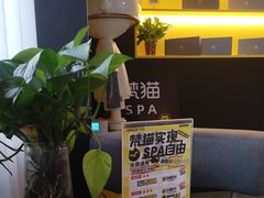 -梵猫·新养生(加州广场店)
