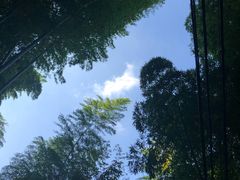 -藏龙百瀑风景区