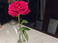 -金汤宴餐厅·粤菜(德云社店)