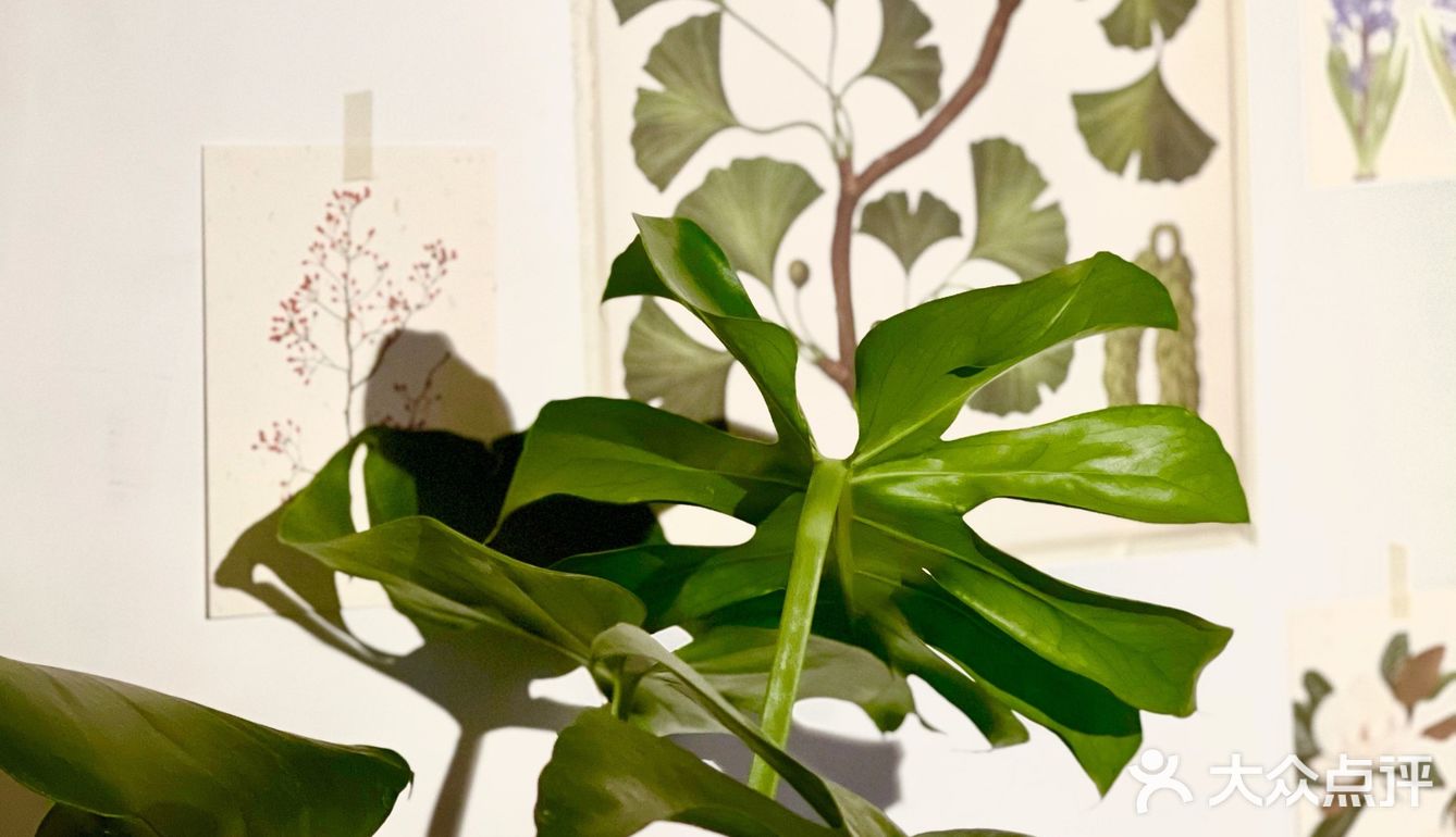 郑州居民楼这家陶瓷美学工作室太美了，9图根本放不下