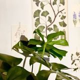 郑州居民楼这家陶瓷美学工作室太美了，9图根本放不下