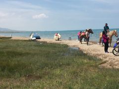 -青海湖国家重点风景名胜区