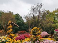 -杭州植物园