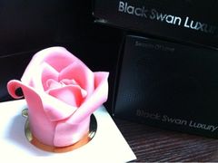 简爱-BLACKSWAN黑天鹅(环球店)