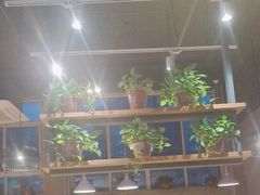 -比格比萨自助(国展店)