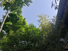 -罔极寺