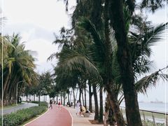 -万绿园