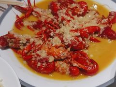 -杨氏青龙虾·羊蝎子(托乐嘉店)