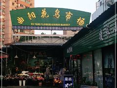 -曲阳花鸟市场(曲阳路店)