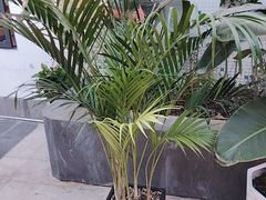 -汇点煌餐厅