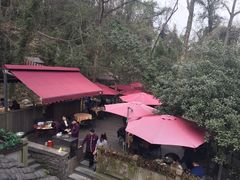 -龙井壹号·茶缘山景宴(龙井村店)