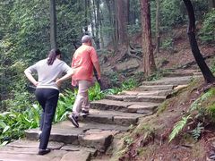 -缙云山景区