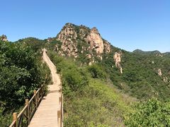 -大岭沟猕猴桃谷风景区