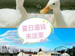 -前小桔亲子创意农场·草莓采摘·露营烧烤