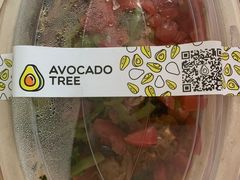 -油梨树AVOCADO TREE(望京店)