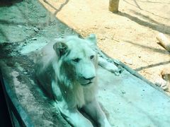 -泉州海丝野生动物世界