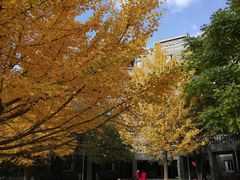 -辽宁大学(崇山校区)