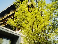 -星巴克(首钢店)