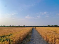 -汉长安城未央宫国家考古遗址公园