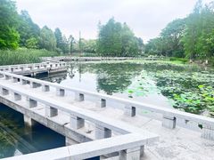 -白塘生态植物园