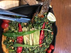 -云海肴·汽锅鸡·云南菜(天山百盛优客店)