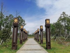 -王借岗森林公园