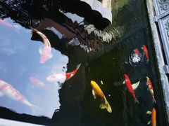 -孔雀湖生态旅游区