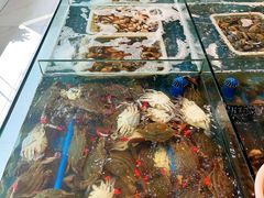 -春华海鲜城(广场西苑店)