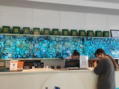 -初色海鲜自助(万丰路店)