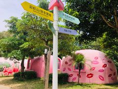 -漳州滨海火山岛自然生态风景区