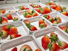 -北京海德酒店温泉