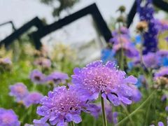-苏州上方山国家森林公园