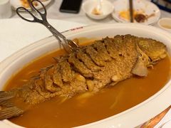 -阿五黄河大鲤鱼(纬三路店)
