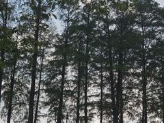 -东湖生态旅游风景区