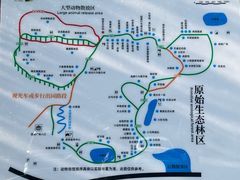 -贵州森林野生动物园