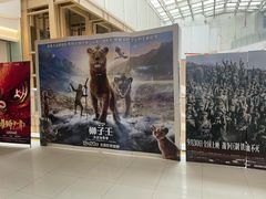 -SFC上影影城(新世界店)