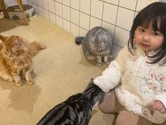 -猫友咖啡店(玉林西路店)