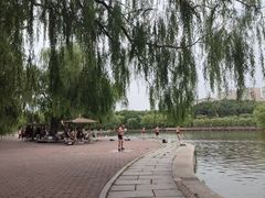 -二一九公园