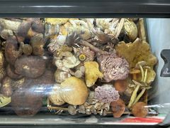 -野菌王•养生汤锅•野生菌火锅(大理漾濞路店)